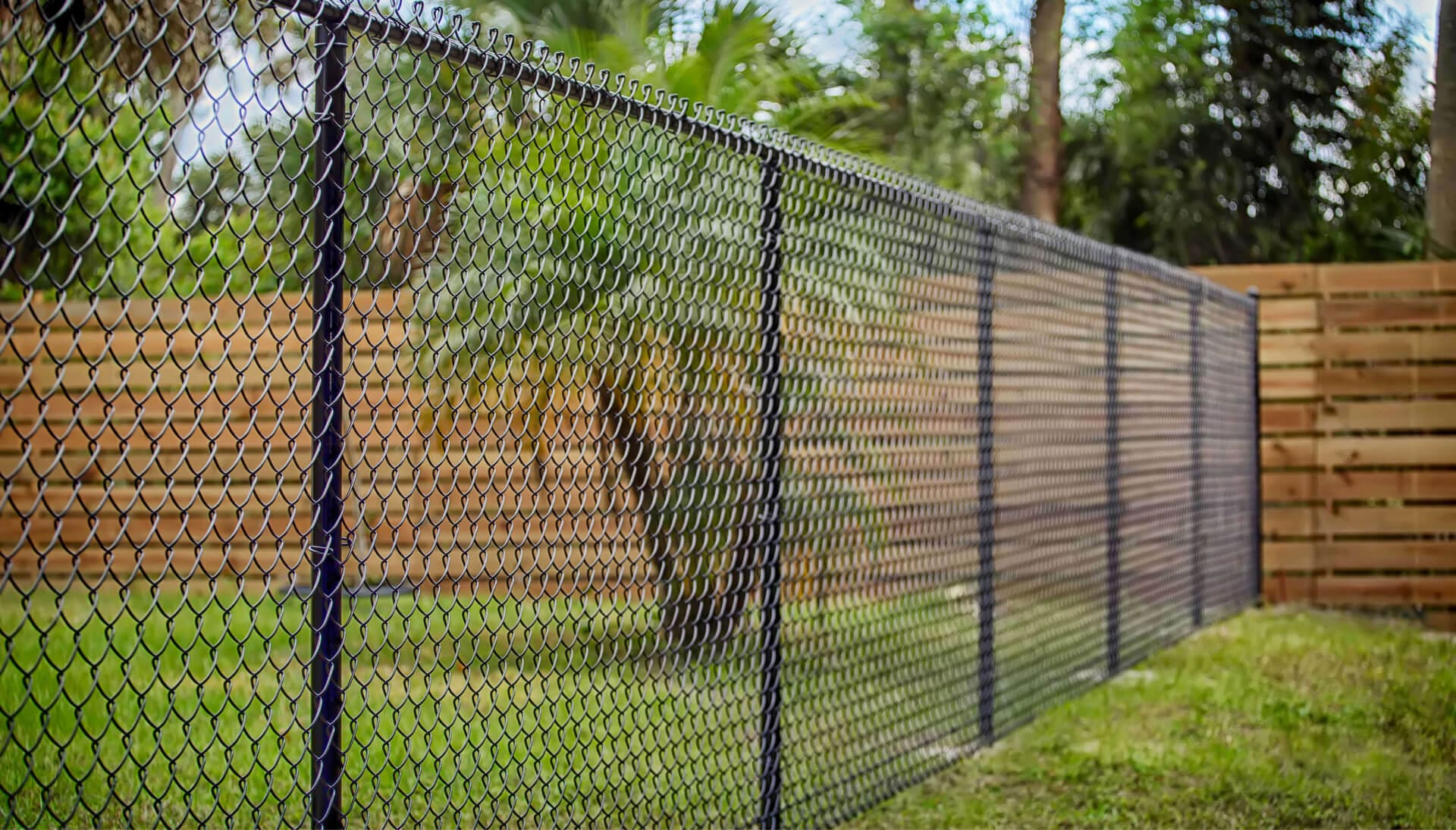 Chain Link Fencing services in Katy